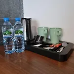 特尔米诺酒店 3*